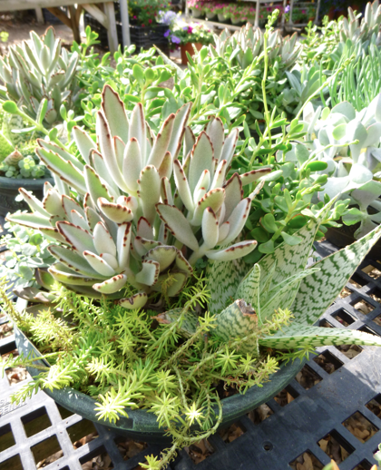 Screen shot 2013-05-18 at 5.25.24 PM