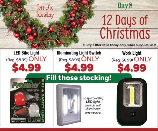 adrians-16-039-3196-12_day-8-5