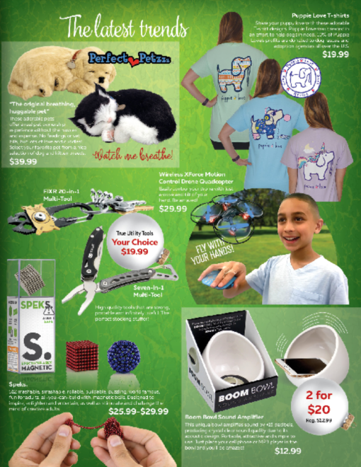 Screenshot 2017-12-05 10.12.10