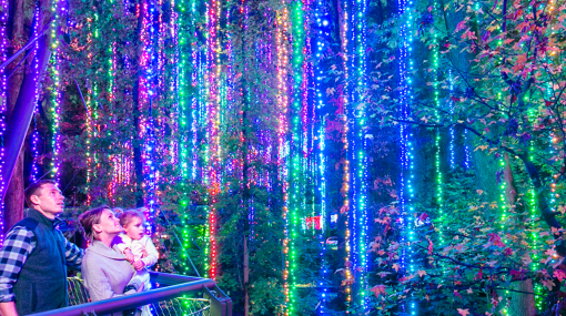 Screenshot 2018-01-16 12.39.11