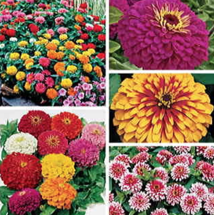 Screenshot 2018-03-20 17.02.59