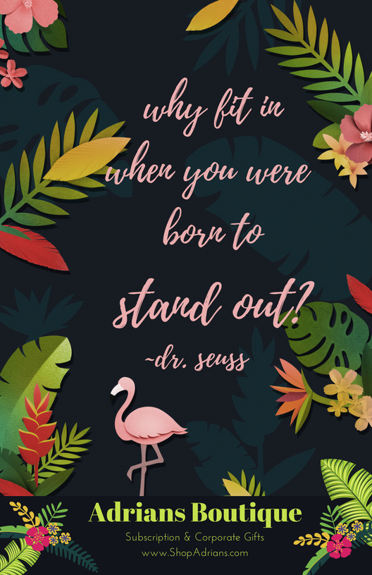 Adrians Boutique August VIP Box Brochure