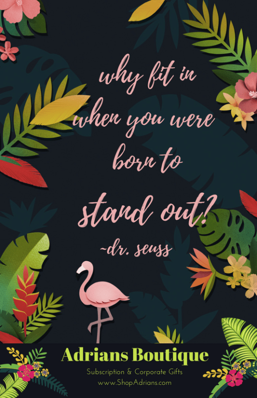 Adrians Boutique August VIP Box Brochure