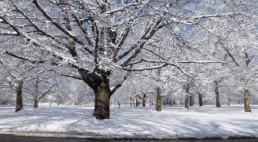 Screenshot 2018-12-27 13.11.53